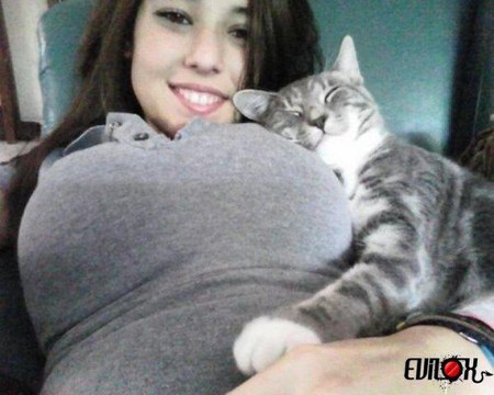 Best Videos of The Day #16 - FAIL, WTF, VINES, CRASH, LOL, ANIMALS - Mister Buzz