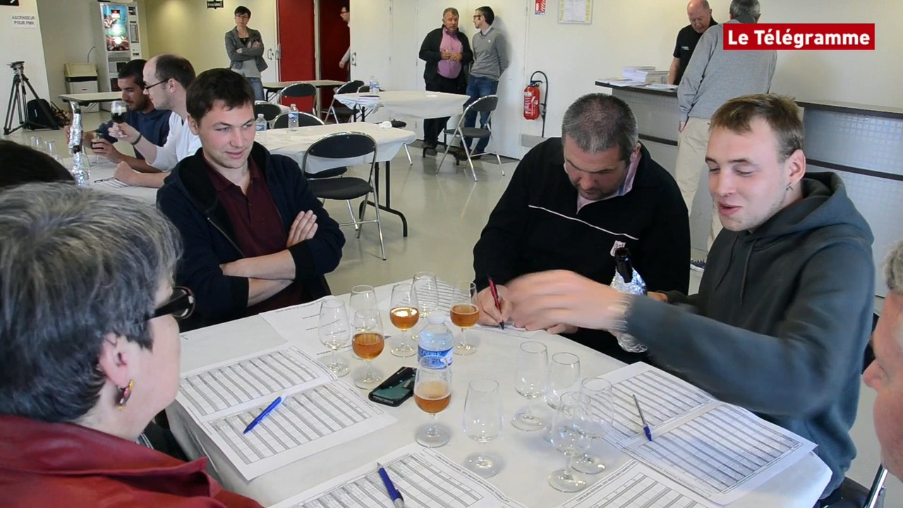 Saint-Brieuc. Concours régional des bières bretonnes