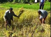 Towards Food Security: stories from Asia and the Pacific