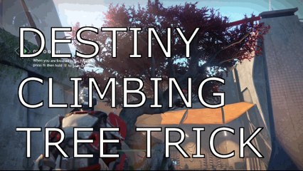 Destiny Climb the Tree Trick "Destiny Climb The Tree"