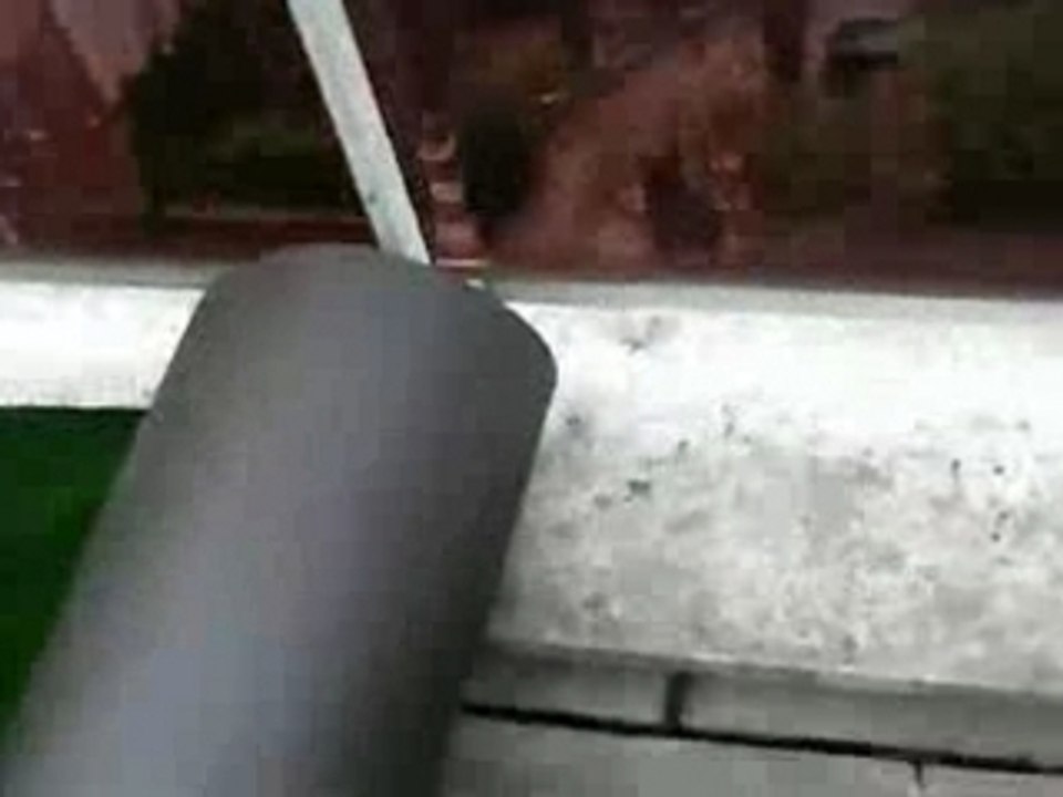 Du gazon sur le balcon de Mabille (77)