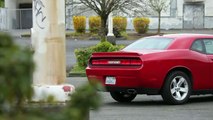 2012 Dodge Challenger RT HEMI - Review by DavidTheCarGuy
