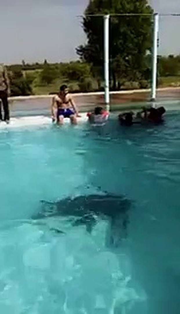 Pakistani Swimmer