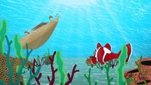 Kırmızı Balık Çizgi Film Çocuk Şarkısı Adisebaba Çocuk Şarkıları