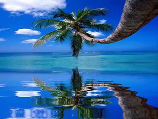 موسيقى حبيبتى  Music By  Elias Rahbani habebty