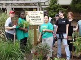 Campus Wildlife Habitats