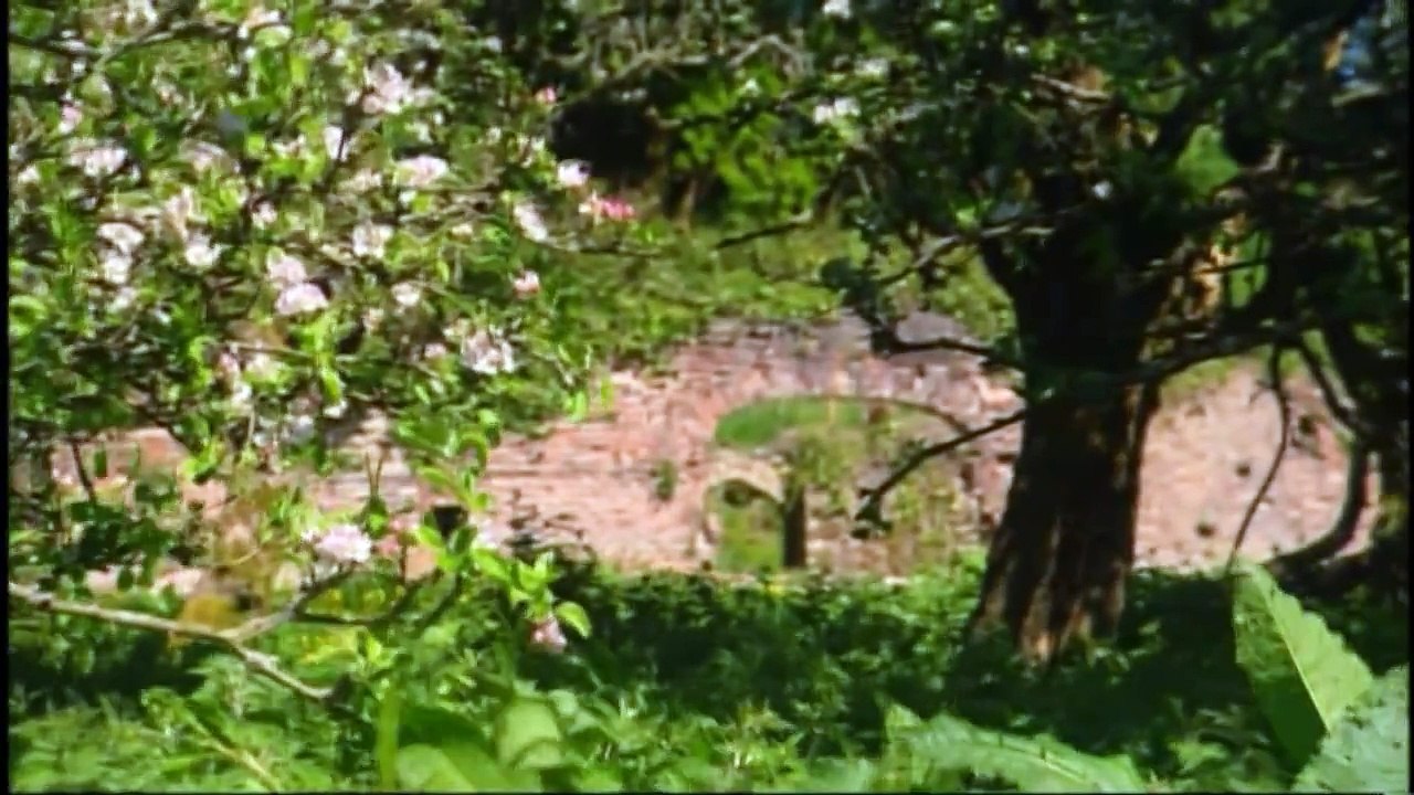 Julia Fischer - Vivaldi - As Quatro Estações - Primavera - Mov 3° Allegro (HD)