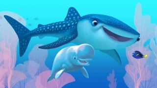 Watch Finding Dory Movie Online [-FREE-]