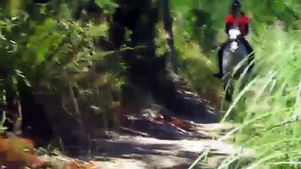 Best Forest Bareback Ride Ever - Jumping & Galloping