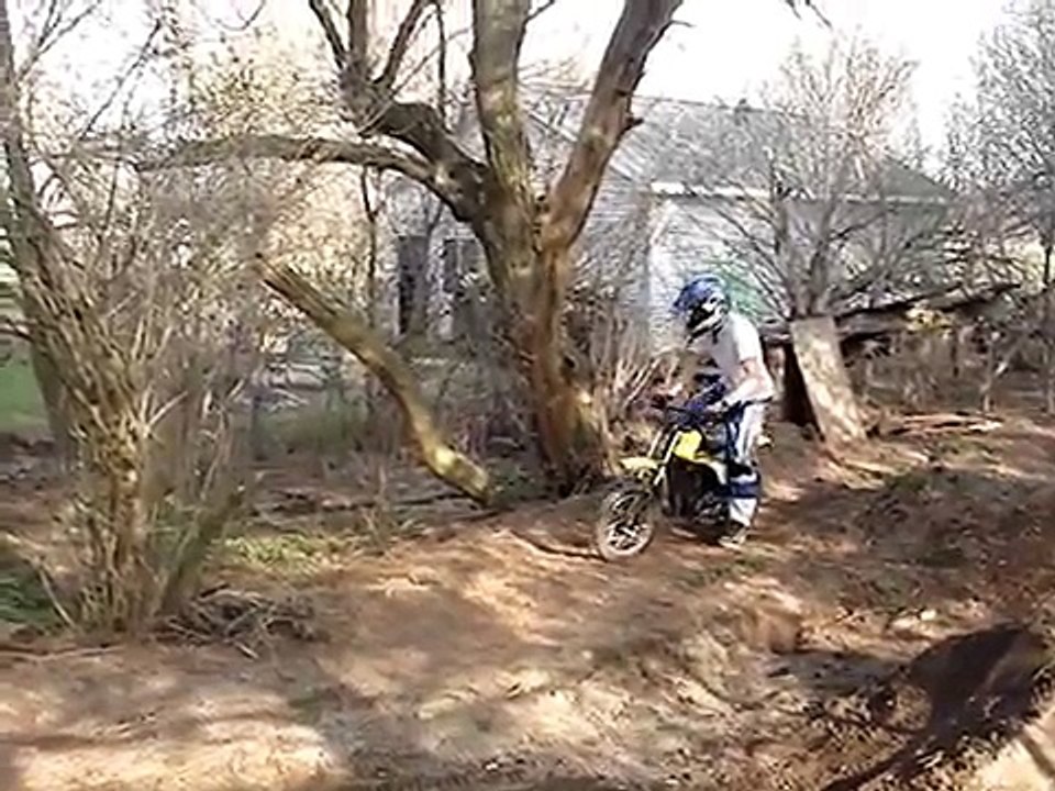 ds80 bat outta hell