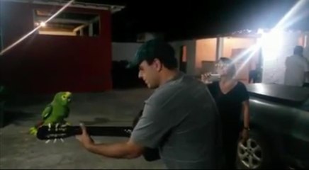 Настоящий Артист: Откройте для себя Искусство и Таланты