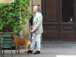 Румыны в Италии - Romeni in Italia