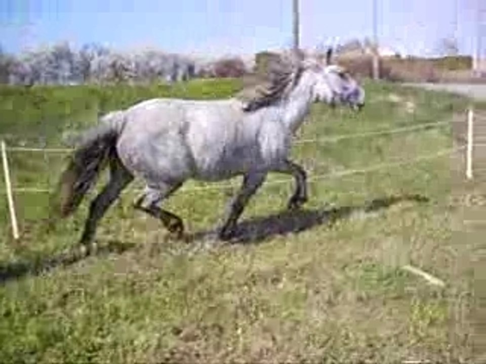 Olga et savane ds le rOnd de lOnge 2
