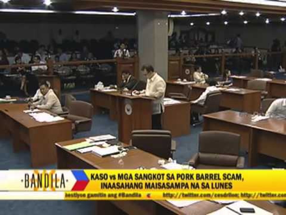 Plunder cases in pork barrel scam weak, lawmaker claims