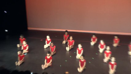 Gala de Danse - Mai 2015