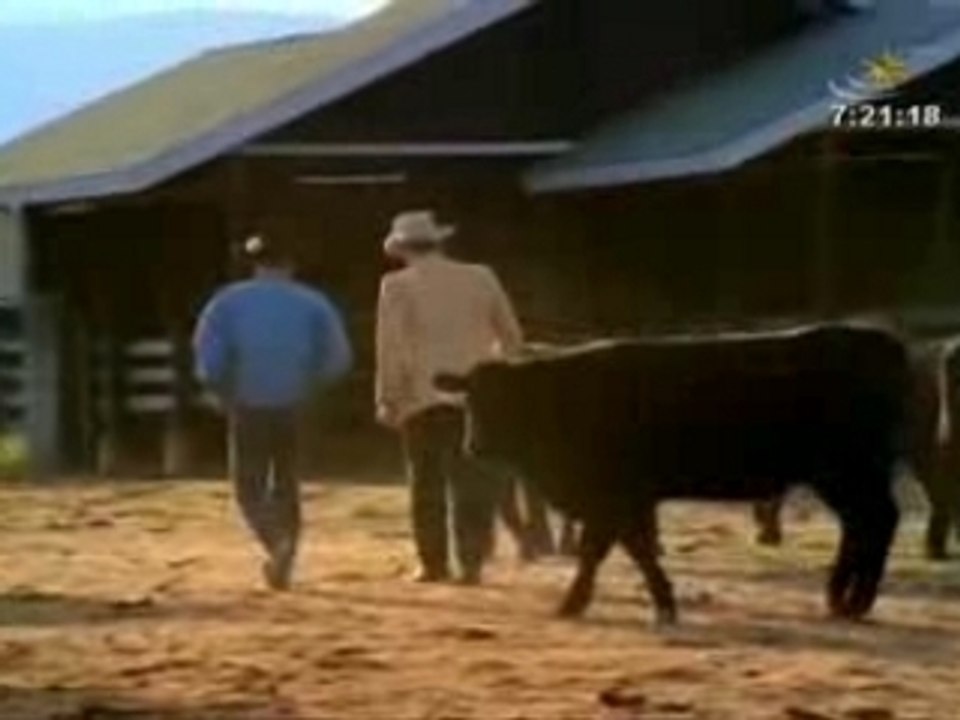 Olaf Henning - Cowboy Und Indianer