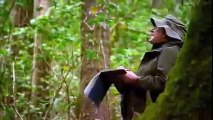 Animal Planet 2015 - Discovery Channel - Wildlife Animals - Amazonia Documentary [720 HD]
