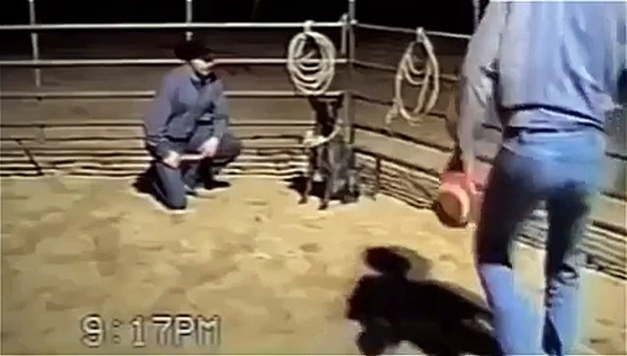 L'entrainement de ce chien est tout simplement incroyable