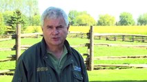 Inspecting Farms to Keep Workers Safe | Inspecter des fermes pour maintenir la sécurité