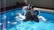 Cyrin rides a PuffyPaws Husky in the pool @ MiDFur