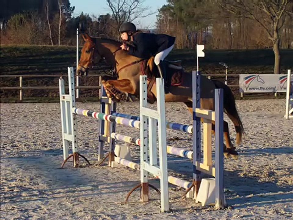 Nos P'tits Poneys Landais