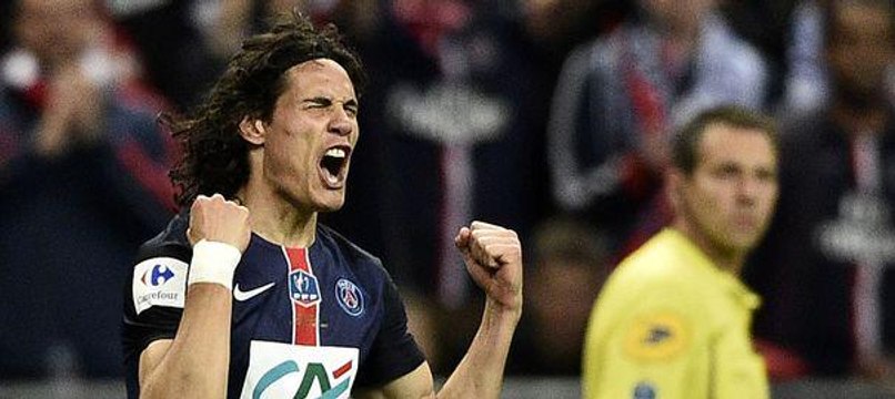 But Edinson Cavani - Auxerre VS PSG (30.05.2015)