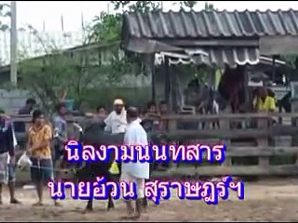 นิลงามนนทสาร ชน นิลแซมเสรีชัย