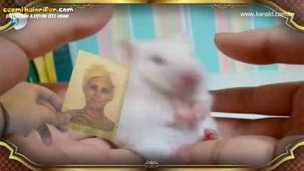İrem Derici İle Hayvan Coşturmaca