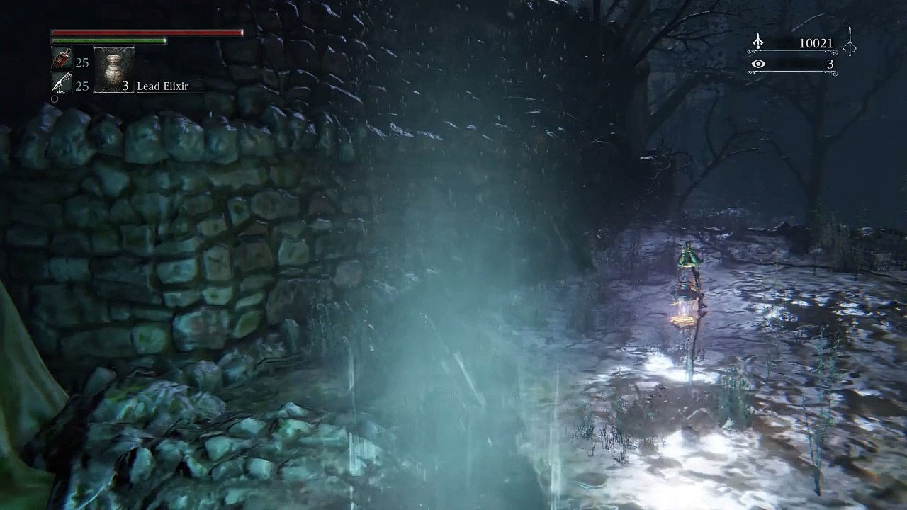 Bloodborne™_20150530181156