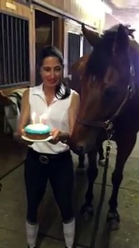 Un cheval souffle ses bougies d'anniversaire