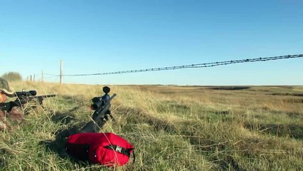 long range shooting - 338 lapua and 243 win take a coyote.