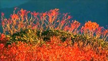 Mile-High Sunrise at Craggy Pinnacle, Blue Ridge Parkway, NC