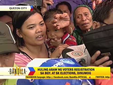Brillantes blames 'hakutan' for poll registration chaos