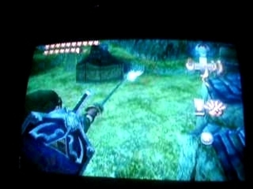 bug de twilight princess