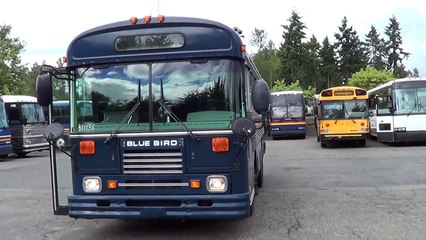 Northwest Bus Sales - 2003 Blue Bird 28 Passenger Commercial Bus For Sale - B11136