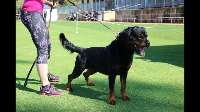 FANTASTIKROT TONKA TUFF - WCRC - LOUISE RUSSELL - SAT AUG 2014
