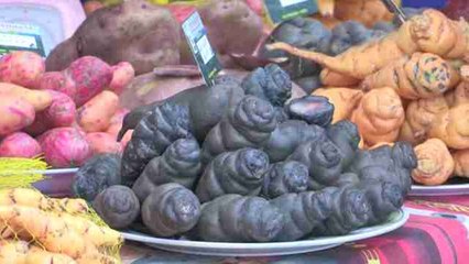 Perú celebra su patrimonio alimentario en el día nacional de la patata