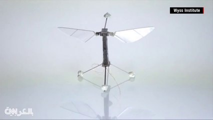 معلومات قد لا تعرفها | روبوتات تجسس على شكل طيور وحشرات