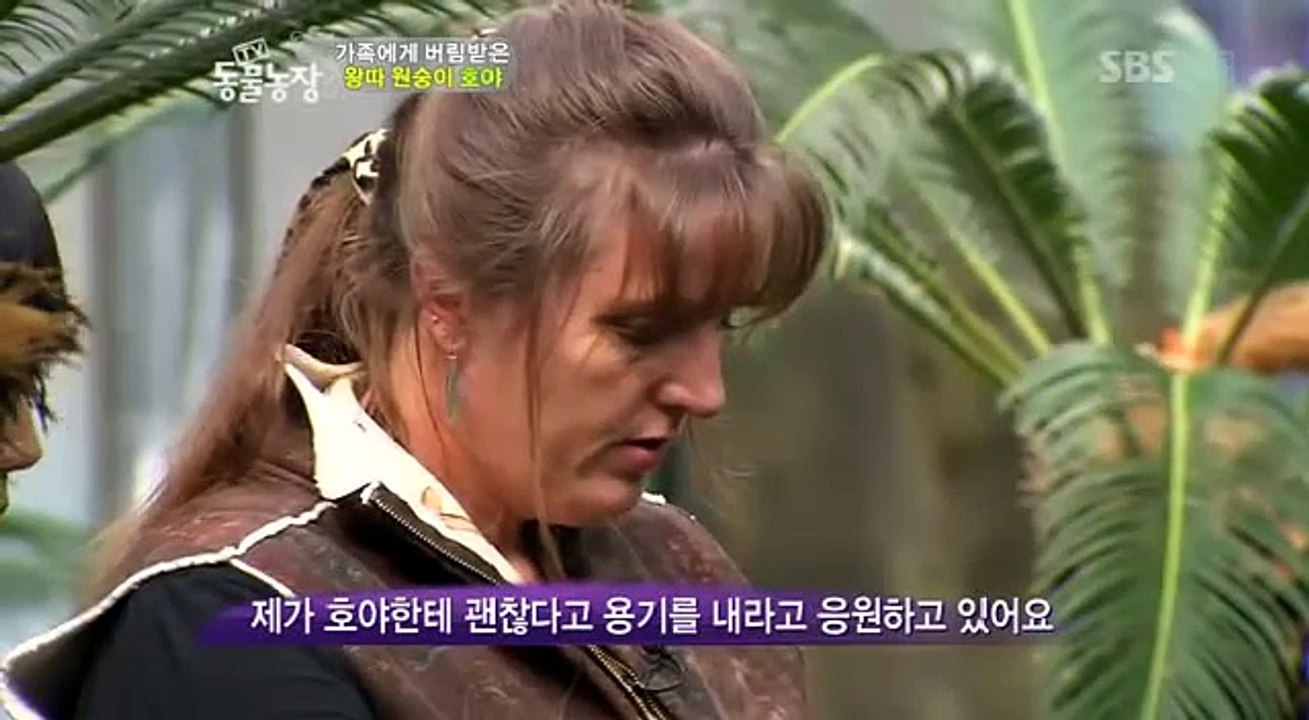 Animal Communicator - monkey HOYA 3