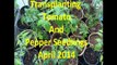 Transplanting Tomato & Pepper Plants Vegetable Garden April 2014