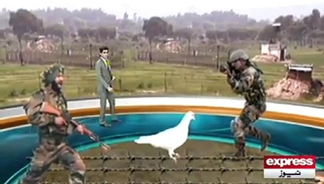 بھارت کی پاکستان سے حوف اور بزدلی کی انتہا پاک بھارت بارڈر پر پاکستانی کبوتر کو بھارت نے جاسوس قرار دے کر قید کردیا یہی