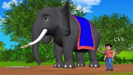 Elly the Elephant - 3D Animation-English Nursery rhyme-for children