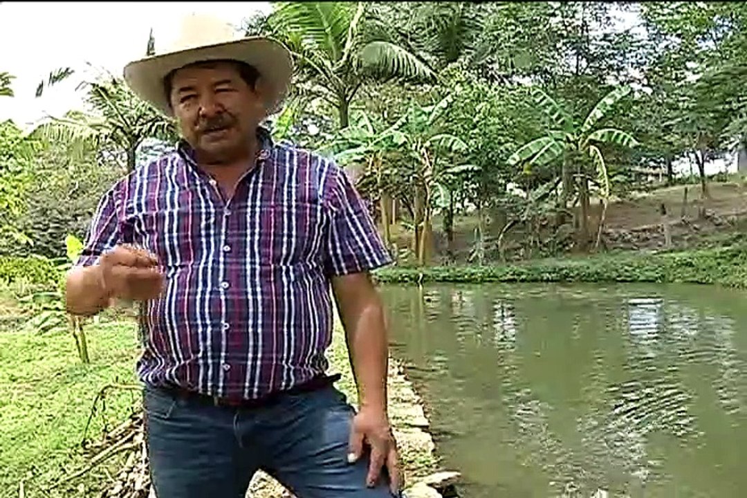 23 de mayo de 2015 Vacalandia y Finagro día de campo.
