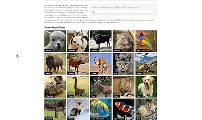 Learning About History Matters! 'How to' Grupedia - Picture Encyclopedia of Domesticated Animals