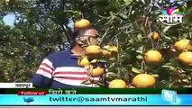 Nalin Kukde's zero budget orange farming success story