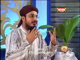 Madine Pak De Andar  Full Video Naat - Syed Rehan Raza Qadri - Naat Online