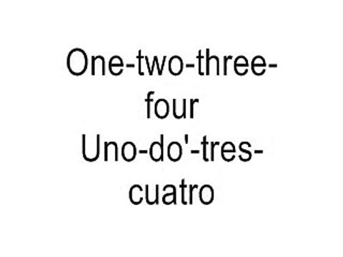 I Know You Want Me (Calle Ocho) - Pitbull (Lyrics)