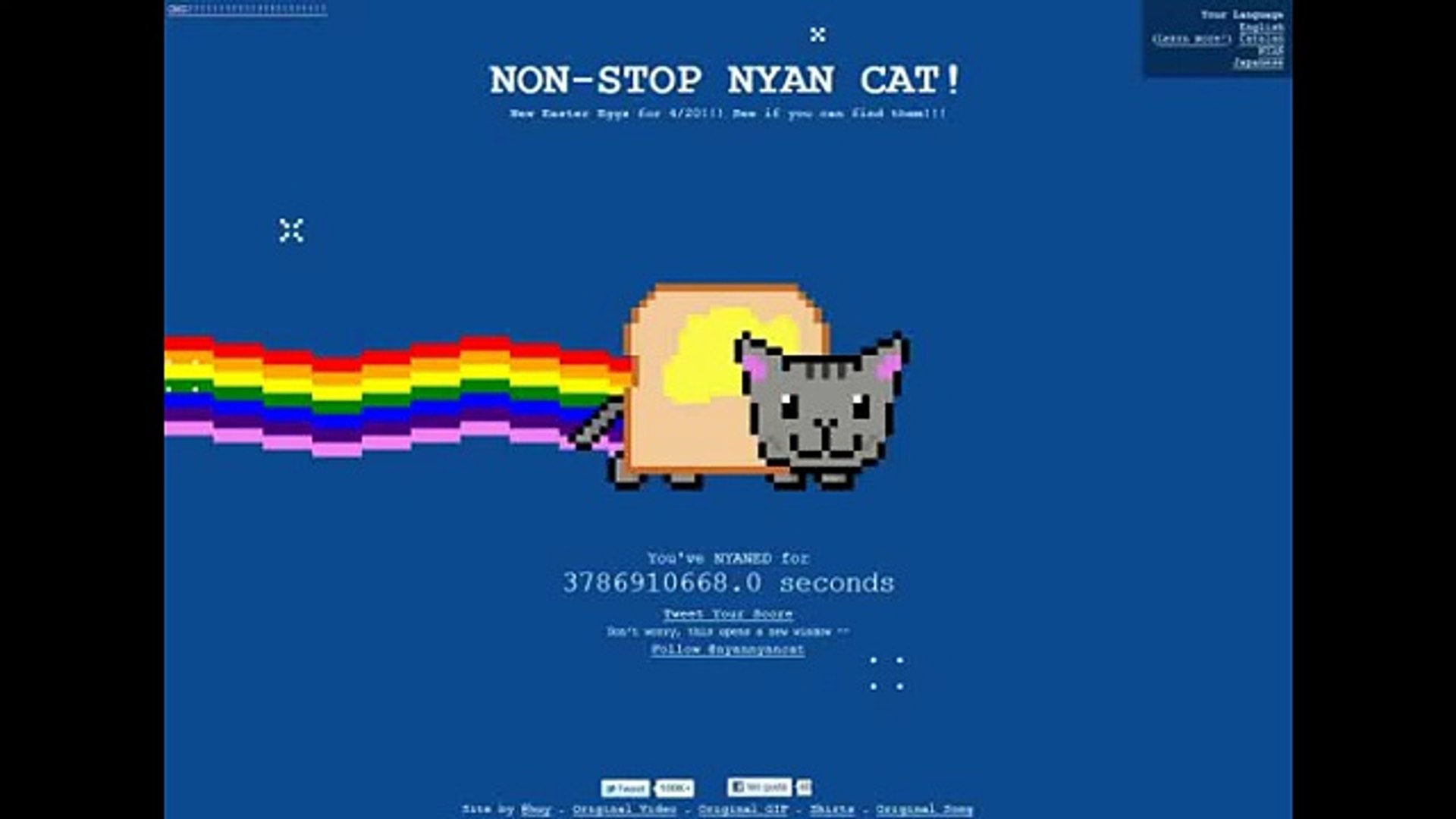 Nyan Dog And Cat Video Dailymotion - nyan doge roblox
