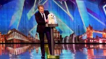 Britain's Got Talent 2015: Marc Métral and his talking dog Wendy wow the judges - Audition [3D]