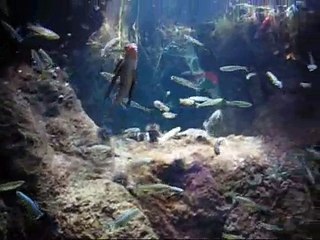 I think I'll go to Boston.